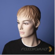 Фон бумажный Fotokvant BGP-2710-09 Cobalt Кобальтовый 2.7x10м