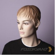 Фон бумажный Fotokvant BGP-2710-110 Taro Purple Пастельно-фиолетовый 2.7x10м
