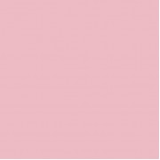 Фон бумажный Fotokvant BGP-2711-17 Carnation Pink Розовая гвоздика 2.7x11м