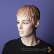 Фон бумажный Fotokvant BGP-2711-29 Tristle Чертополох 2.7x11м