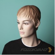 Фон бумажный Fotokvant BGP-2710-55 Alpine Альпийский 2.7x10м