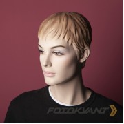 Фон бумажный Fotokvant BGP-2710-62 Plum Сливовый 2.7x10м