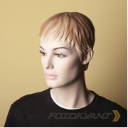 Фон бумажный Fotokvant BGP-2711-65 Cream Кремовый 2.7x11м