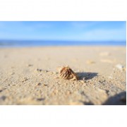 Объектив Canon RF 16mm f/2.8 STM